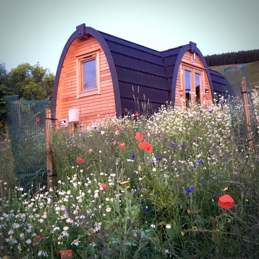 ホテル Clova Pod, Kilry Eco Pods ブレアゴーリー エクステリア 写真