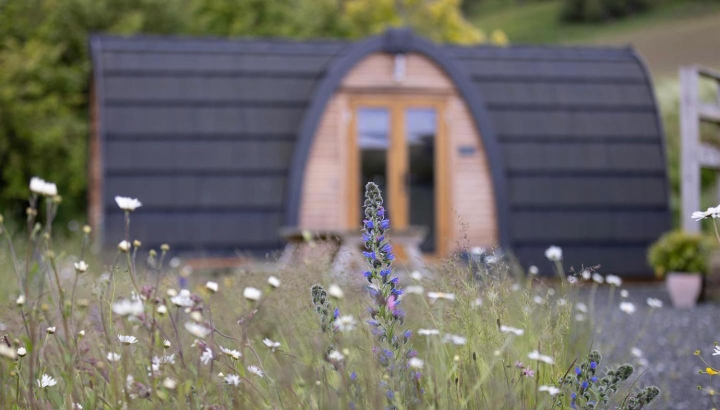 ホテル Clova Pod, Kilry Eco Pods ブレアゴーリー エクステリア 写真